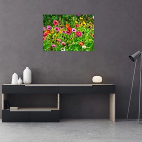 Tablou pe sticlă cu flori de luncă (70x50 cm)