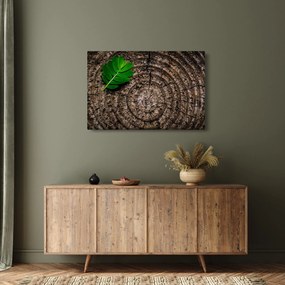 Tablou cu frunză pe trunchi de copac (90x60 cm)