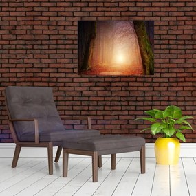 Tablou cu pădurea toamna în ceață (70x50 cm)