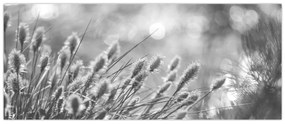 Tablou - Iarbă moale bej N⁰1 (120x50 cm)