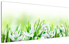 Tablou - Ghiocei (120x50 cm)