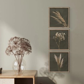 Tablouri 3 buc. 30x30 cm Pampas – Styler