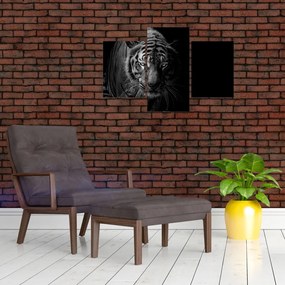 Tablou - Tigru sălbatic (90x60 cm)