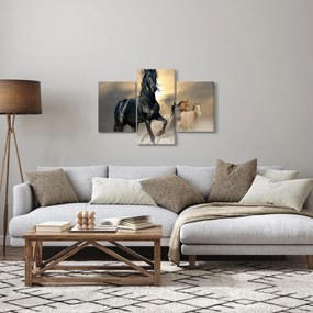 Tablou - Cai (90x60 cm)