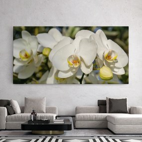 Tablou Canvas, 40x80cm, Dormitor si Living, Flori, Orhidee, Big Orchids In Nature