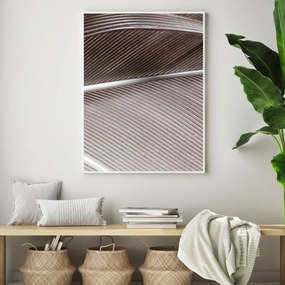 Poster - detaliu de pană de pasăre (A4)