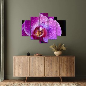 Tablou detailat cu floare de orhidee (150x105 cm)