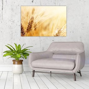 Tablou- detaliu cu (90x60 cm)