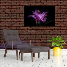 Tablou crinul (90x60 cm)