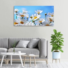 Tablou pe pânză canvas Margarete
