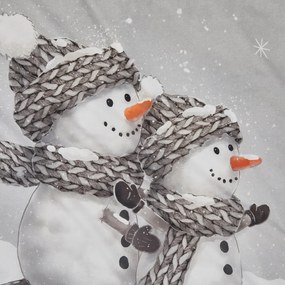 Lenjerie de pat 3D din bumbac Renforce FROSTY gri, 100% bumbac Dimensiune lenjerie de pat: 80 x 80 cm | 135 x 200 cm