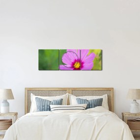 Tablou - floare de câmp (cu ceas) (90x30 cm)