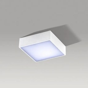 Azzardo AZ2781 - Plafonieră LED FALCO LED/12W/230V