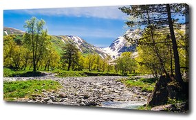Tablou pe pânză River în munți