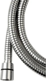 Furtun de duș argintiu lucios din oțel inoxidabil Lux – Sapho