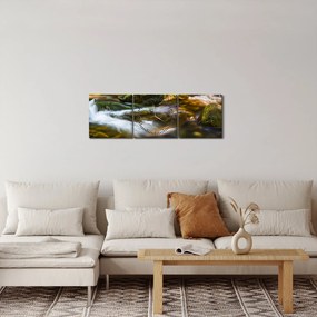 Tablou cu părâu (cu ceas) (90x30 cm)