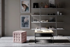 Taburete Samuel Typ 08 (Roz). 1039273