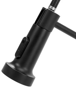 REA-B4820 - Baterie pentru chiuvetă COLIN, 42,5 cm, cu duș extractabil, negru