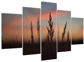 Tablou - Silueta plantei (150x105 cm)