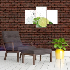 Tablou - Lămâi suculente (90x60 cm)