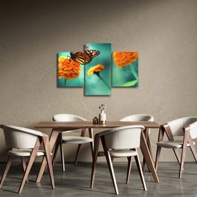 Tablou cu fluture (90x60 cm)