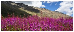 Tablou sceneriei cu lunca montană (120x50 cm)