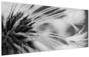 Tablou - Macro,alb-negru (120x50 cm)