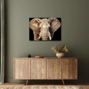 Tablou - Elefant african (70x50 cm)