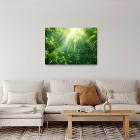 Tablou - Pădurea tropicală (70x50 cm)