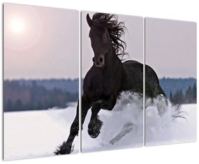 Tablou - cai în zăpadă