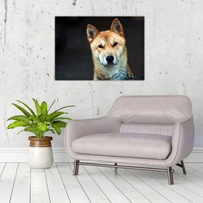 Tablou pe sticlă cu câine (70x50 cm)