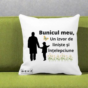Cadou pentru Bunic - Perna Personalizata Bunicul Meu Izvor de Liniste cu Fluture si Baietel, 40x40 cm, Alba Mata, Husa Detasabila, Perna Inclusa, BEKZ®
