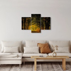 Tablou cu pădure (90x60 cm)