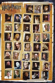 Poster HARRY POTTER 7 - characters, (61 x 91.5 cm)