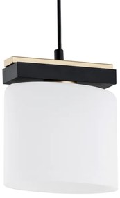 Lustră pe cablu CANOA 1xE27/15W/230V Argon 8276