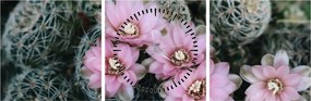 Tablou floare de cactus (cu ceas) (90x30 cm)