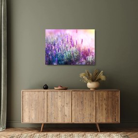 Tablou pe sticlă - Lavandă în strălucirea soarelui (70x50 cm)