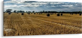 Tablou cu câmp recoltat (120x50 cm)