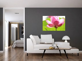 Tablou cu flori de lotus (90x60 cm)