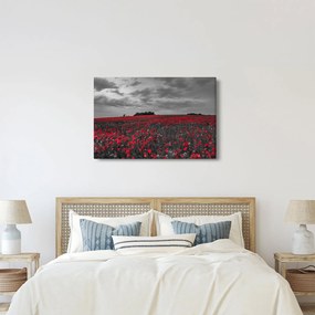 Tablou cu maci (90x60 cm)