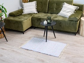 Covor RENSKE 60x90 cm, gri deschis/model