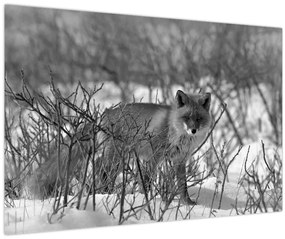 Tablou - Vulpe în timpul iernii (90x60 cm)