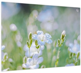 Tablou - Flori delicate (70x50 cm)