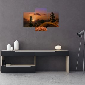 Tablou naturii cu apus de soare (90x60 cm)