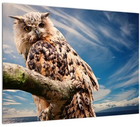 Tablou cu bufnița (70x50 cm)
