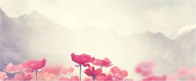 Tablou - Maci (120x50 cm)