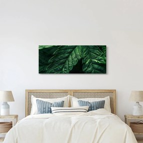 Tablou - Detaliu al foii (120x50 cm)