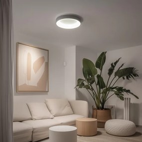 Plafonieră LED dimabilă LED/40W/230V 3000-6500K gri Brilagi + telecomandă