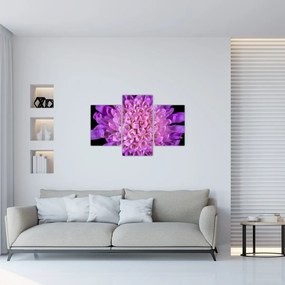 Tablou detailat cu floare (90x60 cm)