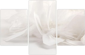 Tablou - Pană (90x60 cm)